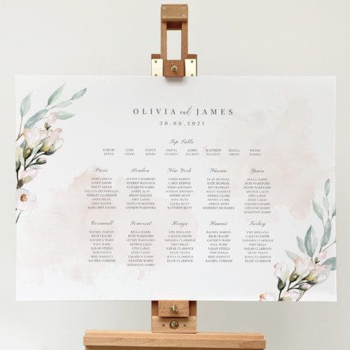 Blush and Sage Table Plan