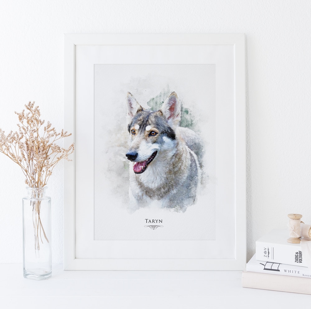 shop pet portraits