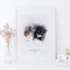 Cat Portraits