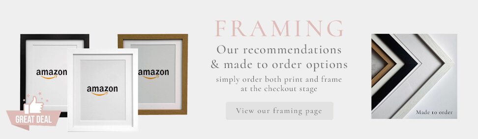 Framing Recommendations