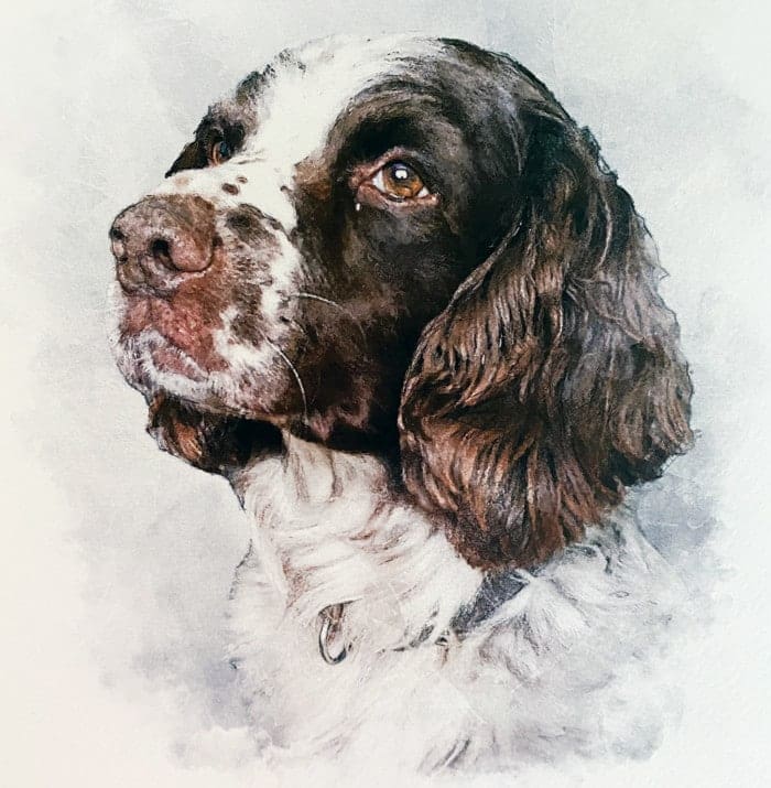 Pet Portraits, Wedding Stationery & Personalised Family Prints