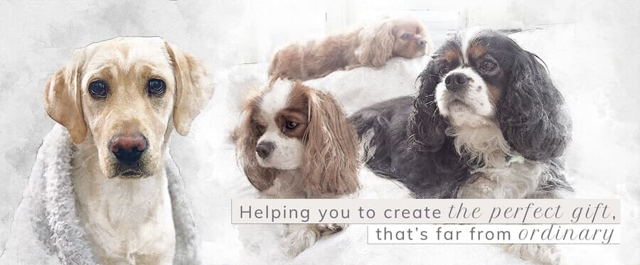 pet-portraits-dogs-banner pet portrait