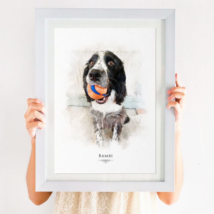 spaniel pet portrait print