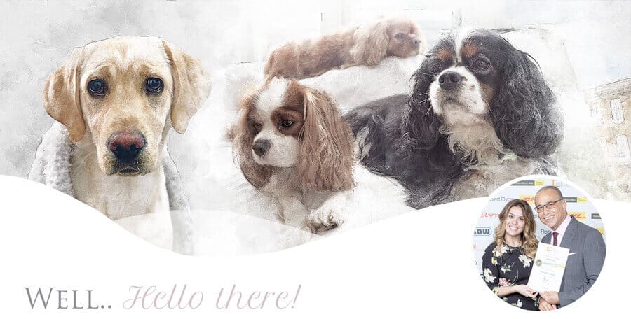 Newsletter-header
