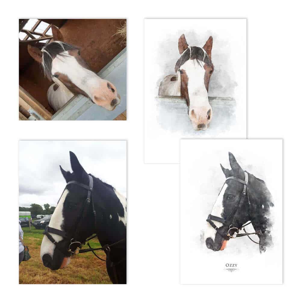 horse portrait examples Horse Portrait