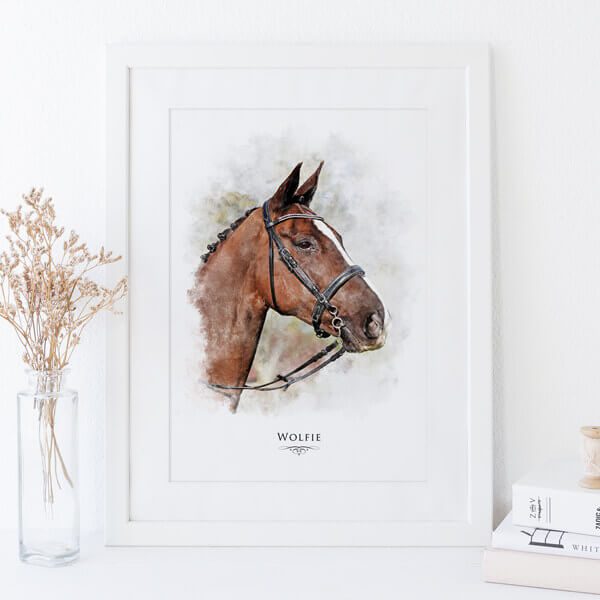custom HORSE illustration