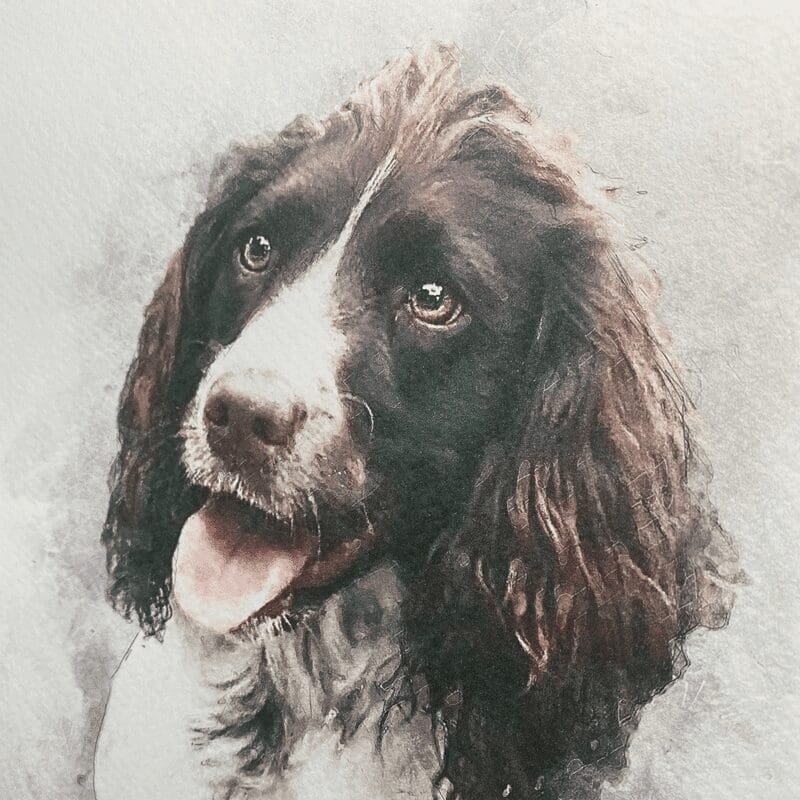pet portrait print pet portrait print