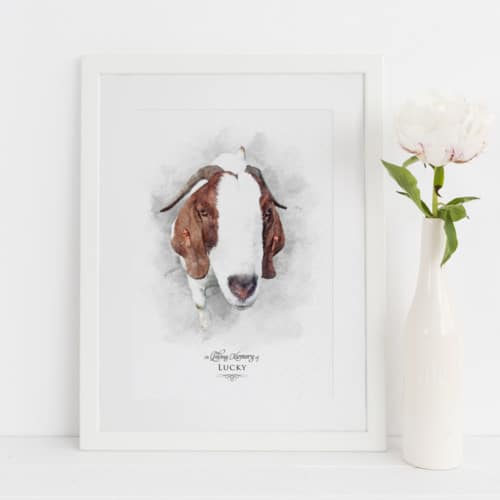 Custom Animal Portrait