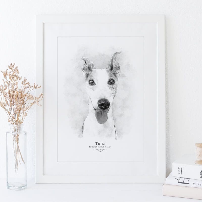 pet-portraits-uk-17