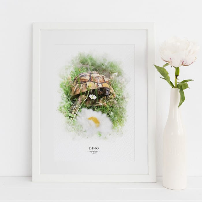 tortoise portrait