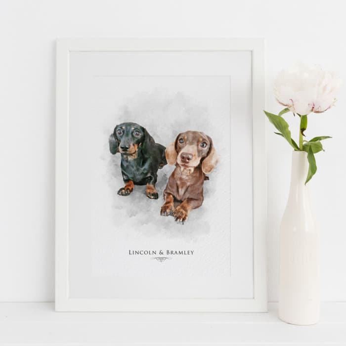 Dog Portrait