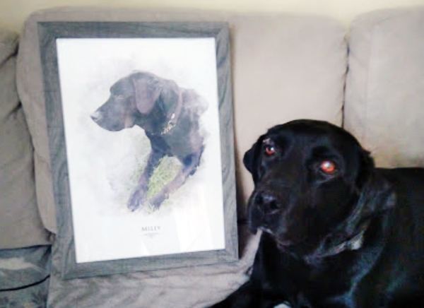 milly-pet-portrait-review pet portrait review
