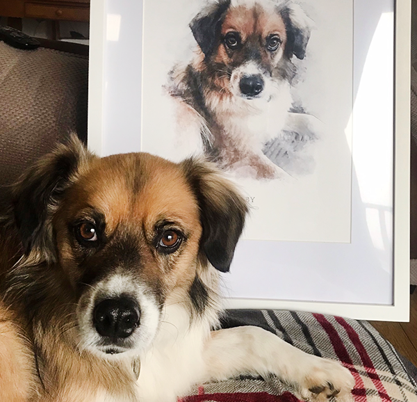pet-portrait-katie-review dog portrait review