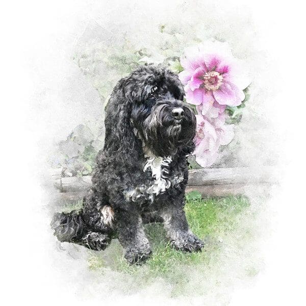 pet-portraits-artistic-mix-background pet portraits background options