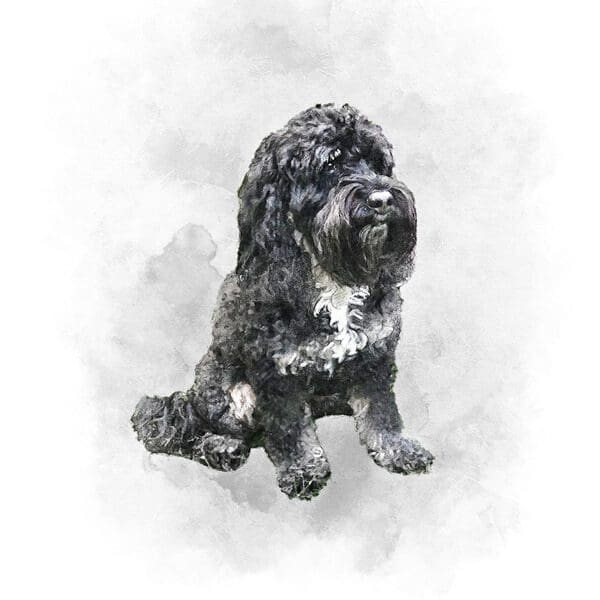 pet-portraits-grey-background pet portraits background options