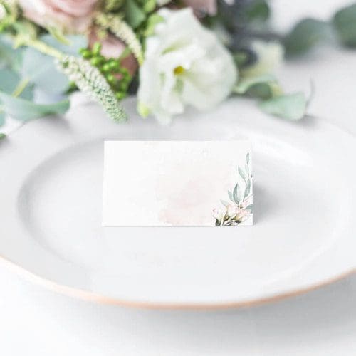 Blush and sage place name cards