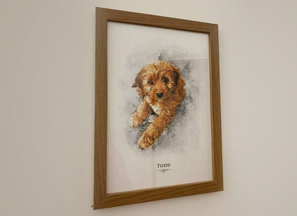 todd-pet-portrait-review pet portrait review