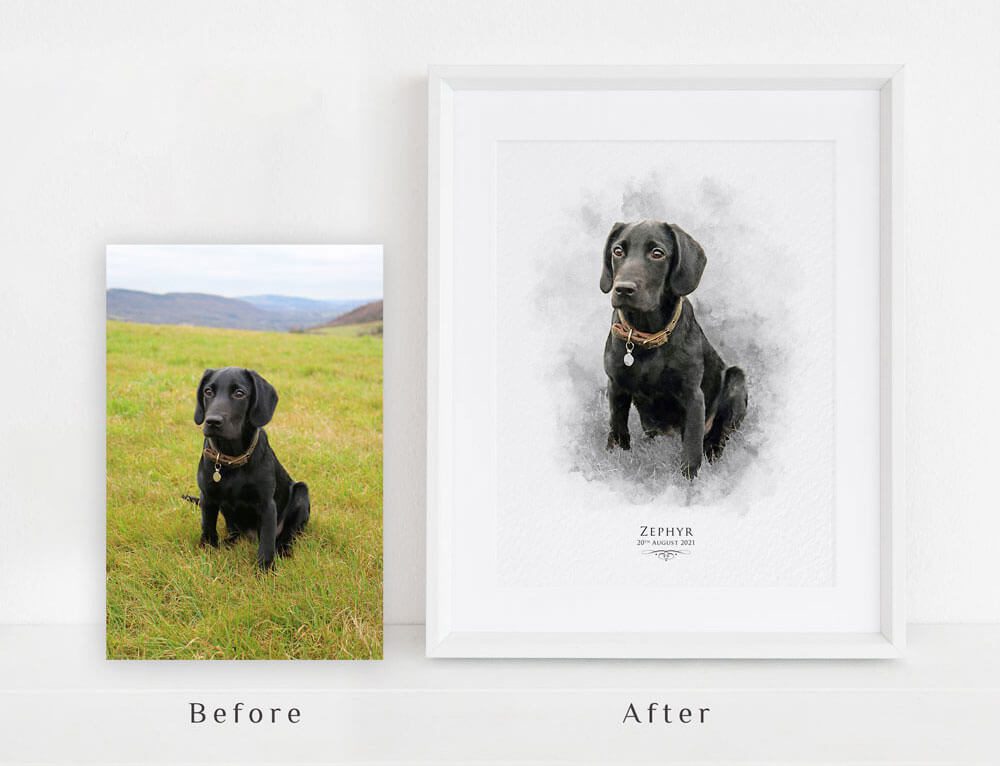 photo-pet-portrait-before-after pet portrait before and after