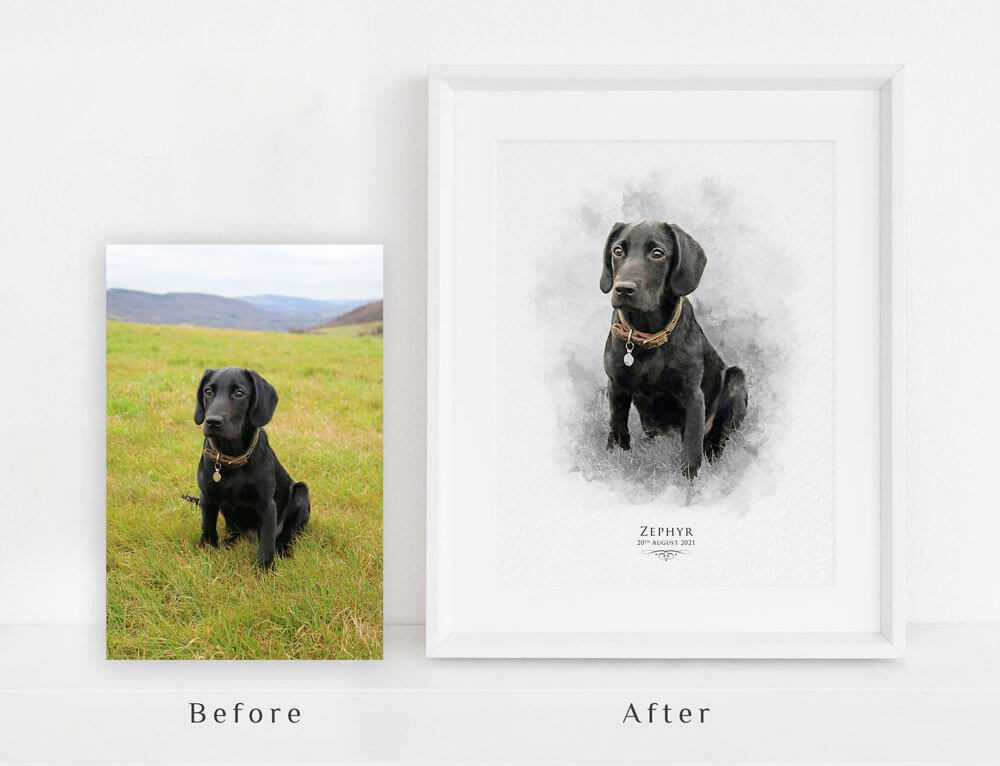 pet portrait before and after