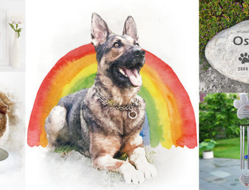 A guide to the best pet memorial gift Ideas