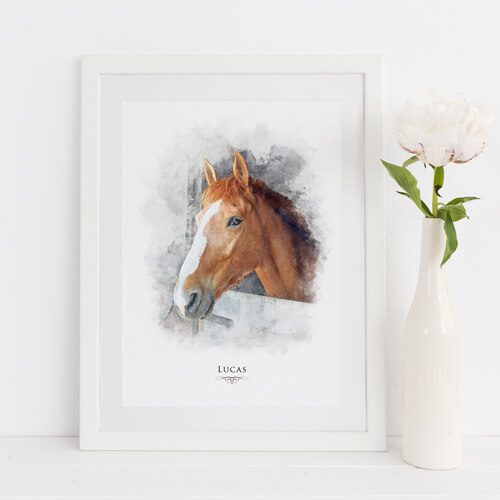 Horse Portrait uk