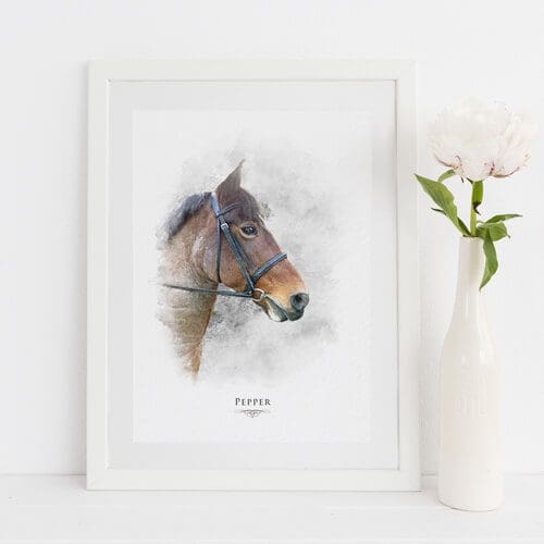 horse-portraits