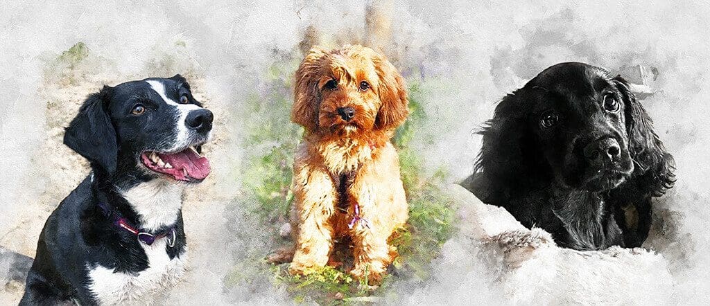 Personalised portrait print created from a photograph