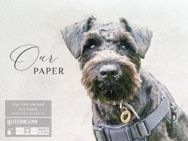 our paper pet portraits