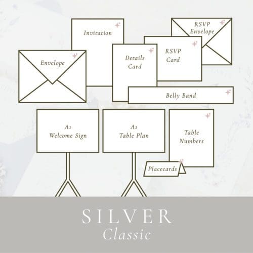 The Full Package - Silver