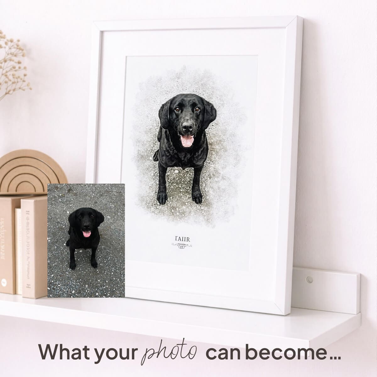 Before and After Pet Portrait