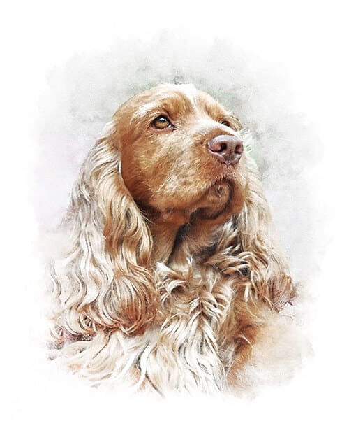pet portrait