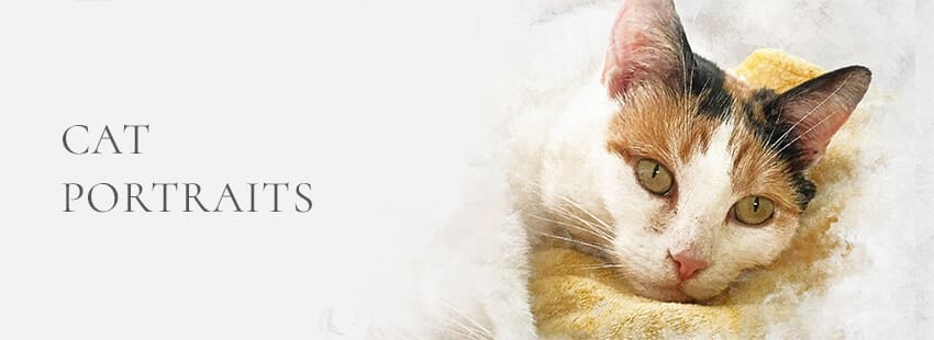 cat portraits