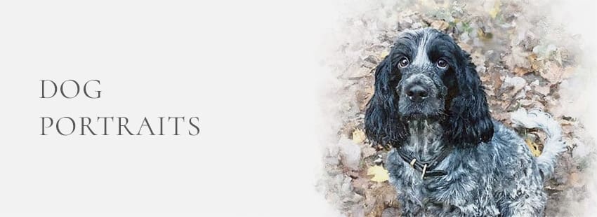 dog portraits