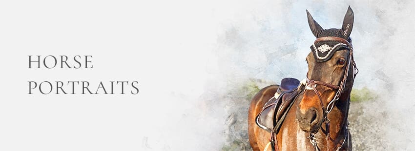 horse portraits