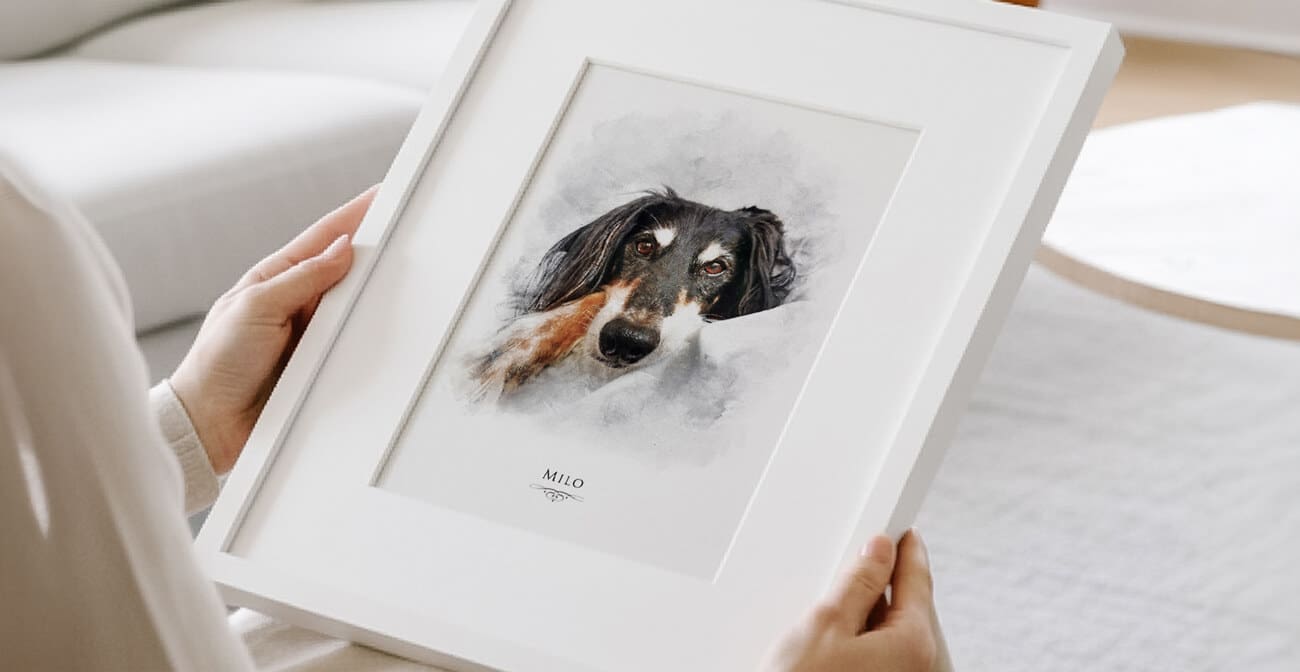 pet portraits