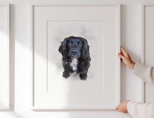 Dog Portrait From Photo
