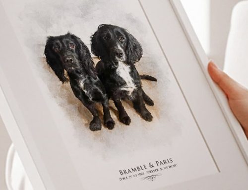Personalised Pet Portrait From Photo