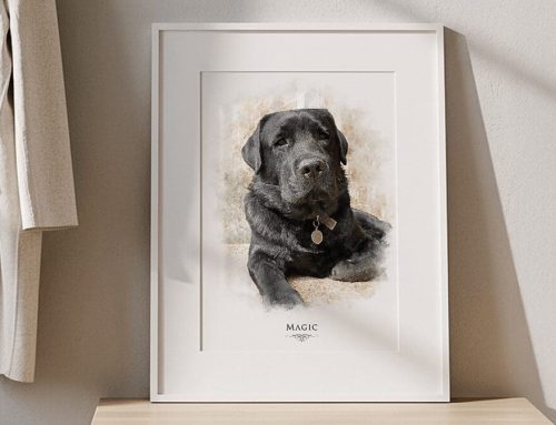 Pet Loss Gifts & Personalised Pet Memorial Gifts UK