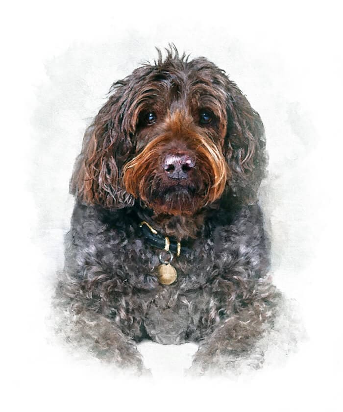 Personalised dog memorial portrait created from a favourite photograph